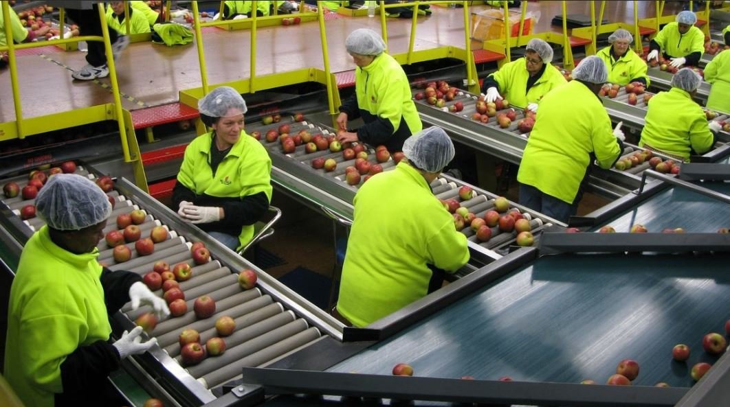 Fruit Packing Jobs in USA