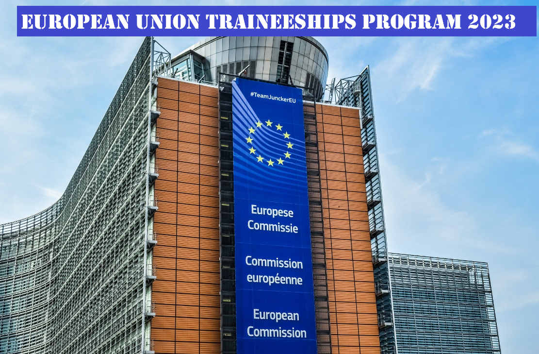 European Union Traineeships Program 2023