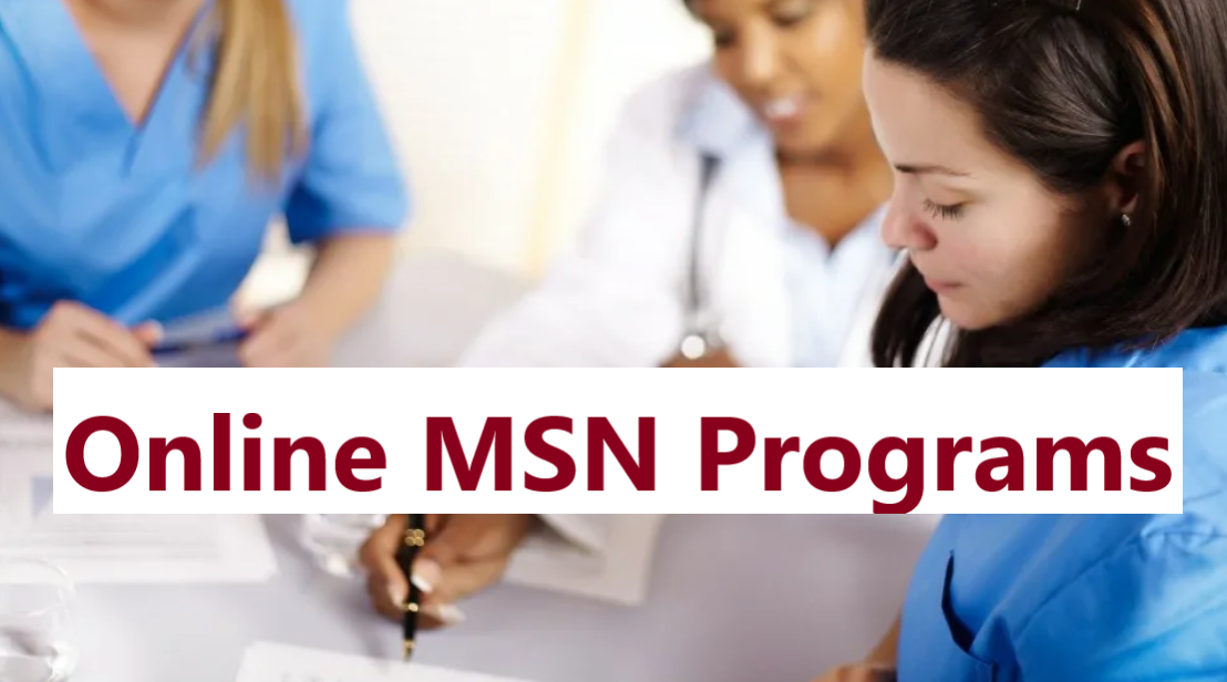 Online MSN Programs